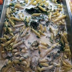 Penne Pasticciate